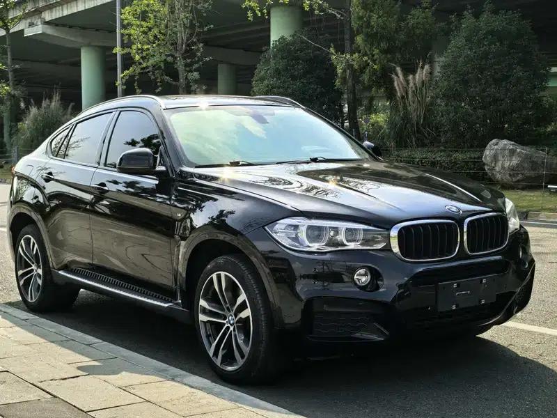 BMW X6 2018 xDrive35i Leading Edition — миниатюра 3
