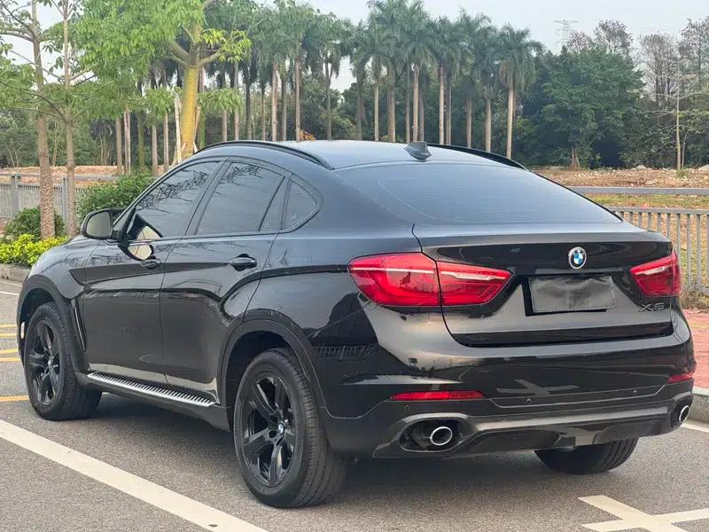 BMW X6 2015 xDrive35i Luxury — миниатюра 4