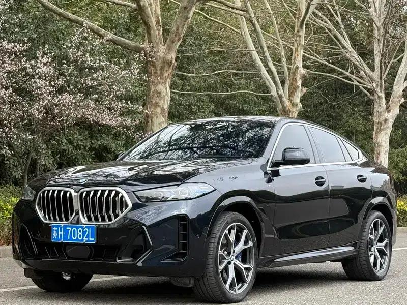2023 BMW X6 xDrive40i M Sport Package — миниатюра 1
