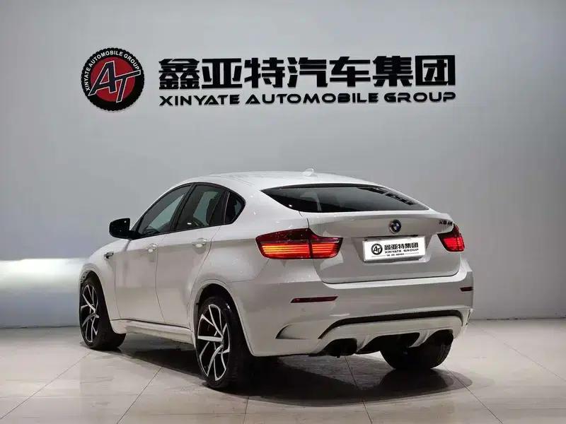 2010 BMW X6 M — миниатюра 4