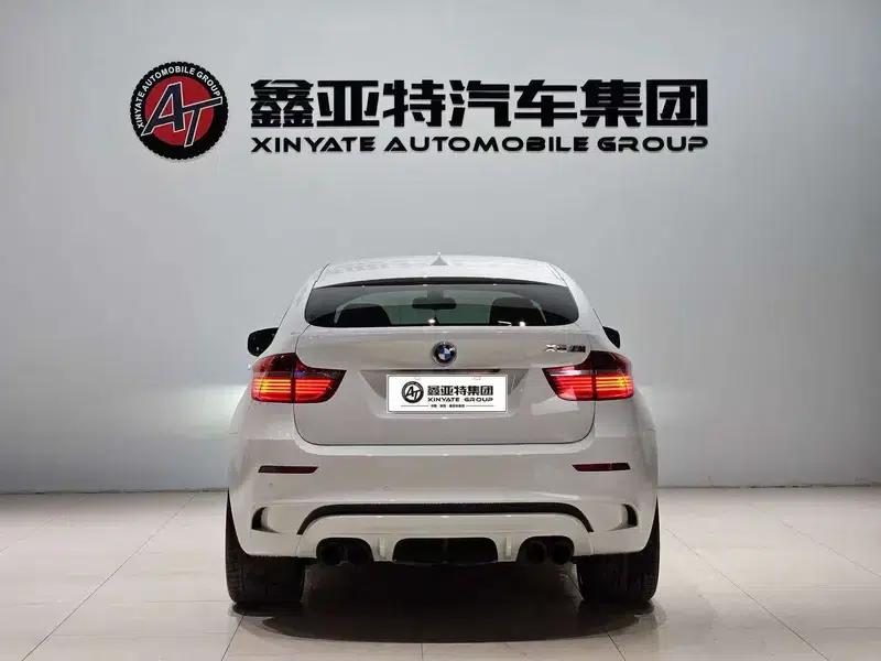 2010 BMW X6 M — миниатюра 5