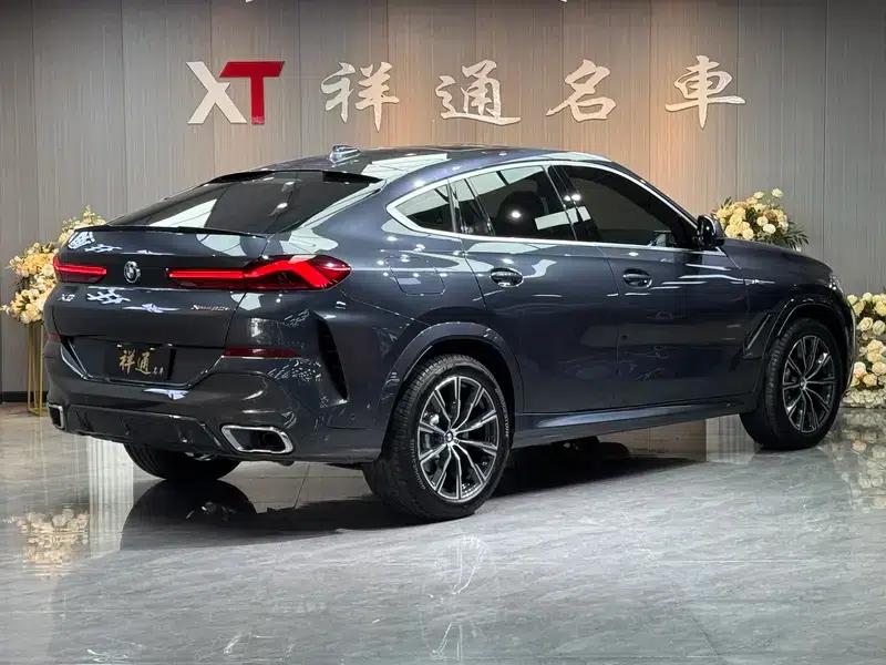2021 BMW X6 xDrive30i M Sport Package — миниатюра 6