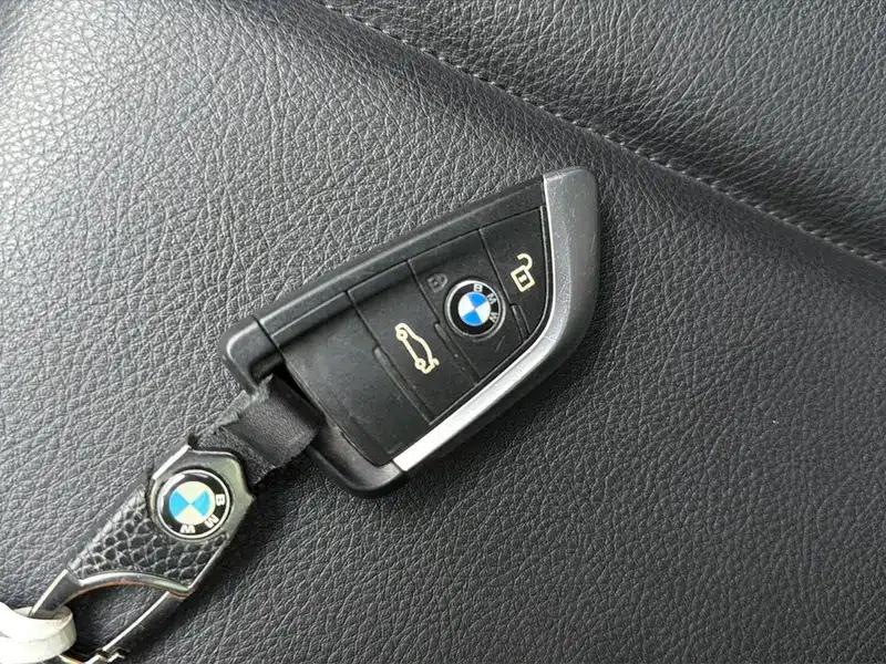 BMW X2 (Imported) 2019 sDrive20i M Sport Package (China VI Emission Standard) — миниатюра 11