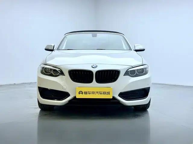 2019 BMW 2 Series (Imported) 225i Convertible Coupe Sport Design Package — миниатюра 2