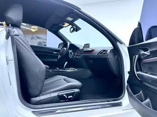 2019 BMW 2 Series (Imported) 225i Convertible Coupe Sport Design Package — миниатюра 18