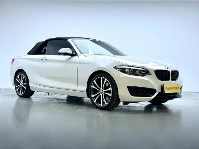 2019 BMW 2 Series (Imported) 225i Convertible Coupe Sport Design Package — миниатюра 3