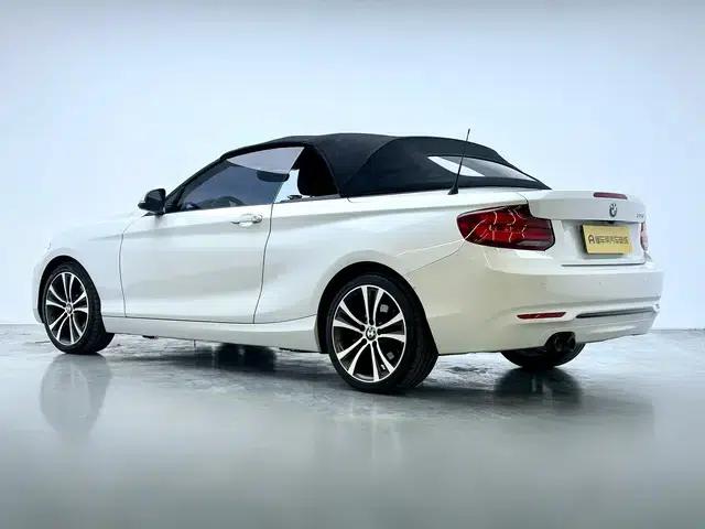 2019 BMW 2 Series (Imported) 225i Convertible Coupe Sport Design Package — миниатюра 5