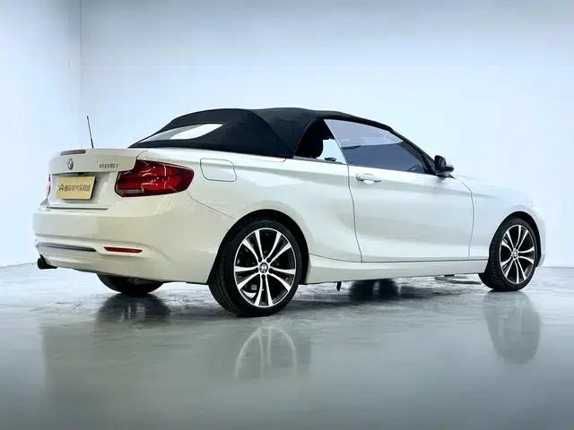 2019 BMW 2 Series (Imported) 225i Convertible Coupe Sport Design Package — миниатюра 7