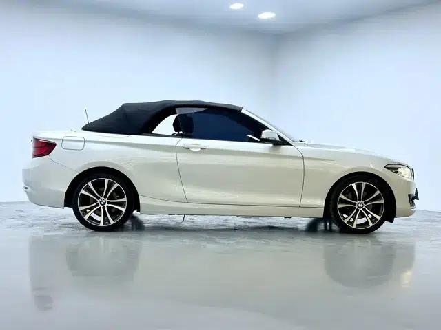 2019 BMW 2 Series (Imported) 225i Convertible Coupe Sport Design Package — миниатюра 8