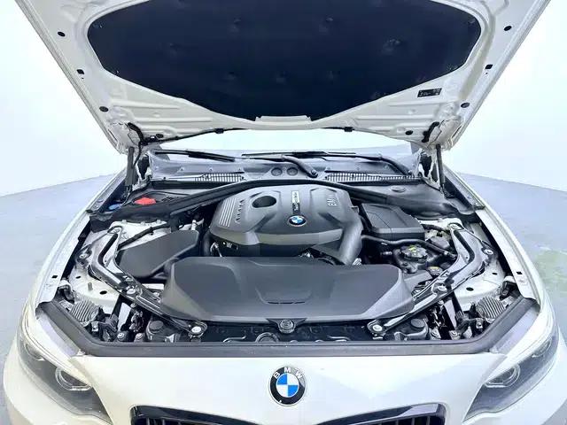 2019 BMW 2 Series (Imported) 225i Convertible Coupe Sport Design Package — миниатюра 10