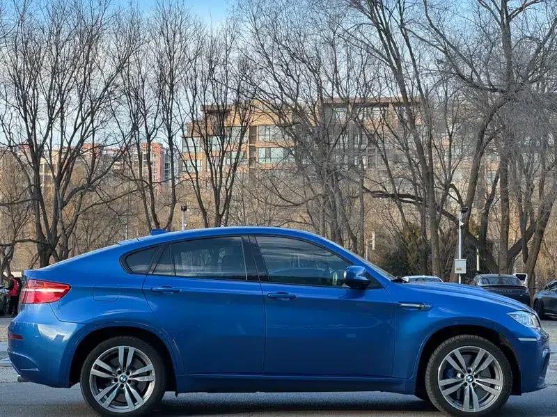 2013 BMW X6 M — миниатюра 7