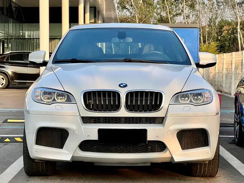 2013 BMW X6 M — миниатюра 2