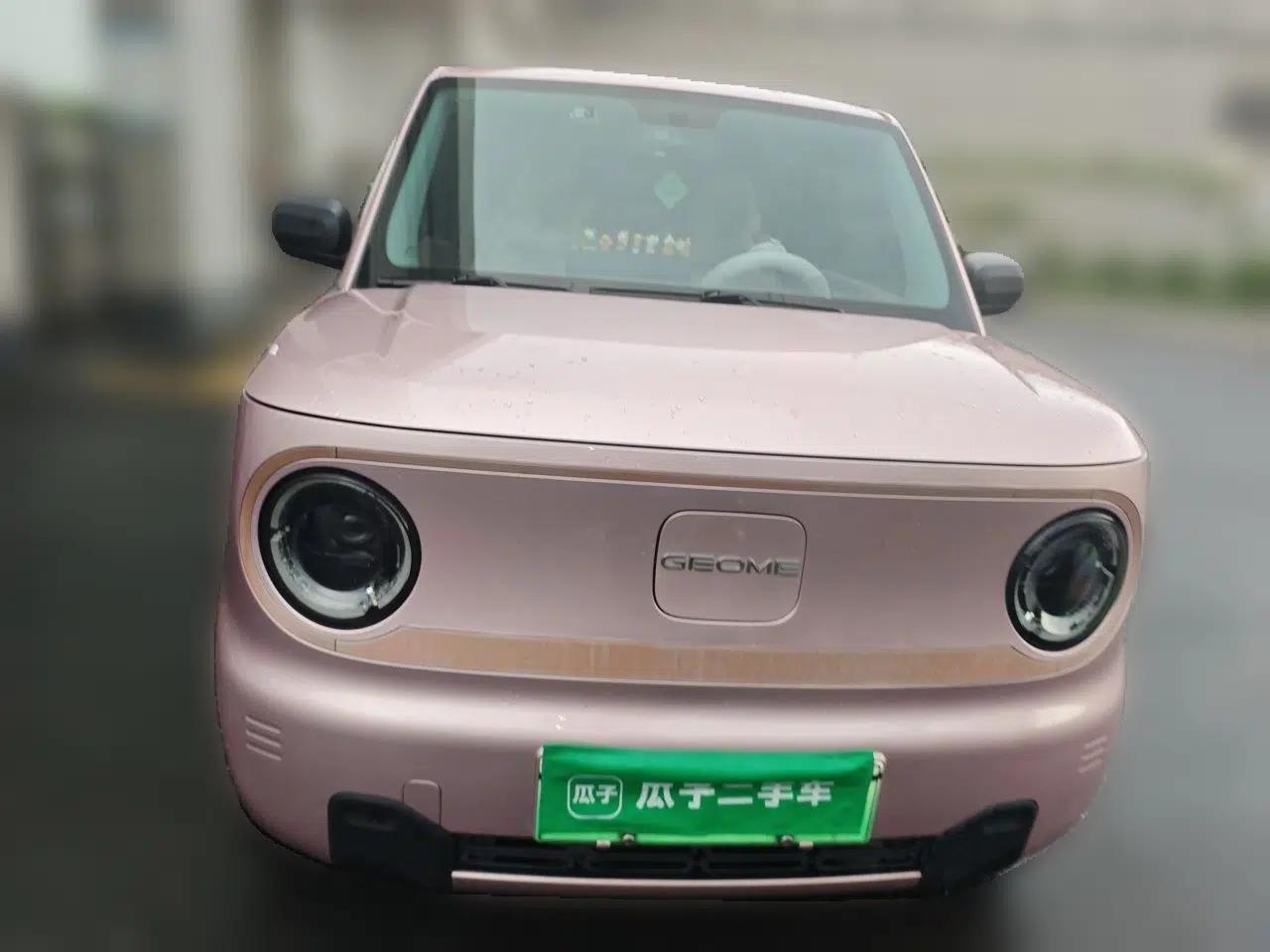 Geely Galaxy Panda 2023 Panda Mini 200km Endurance Bear — миниатюра 2