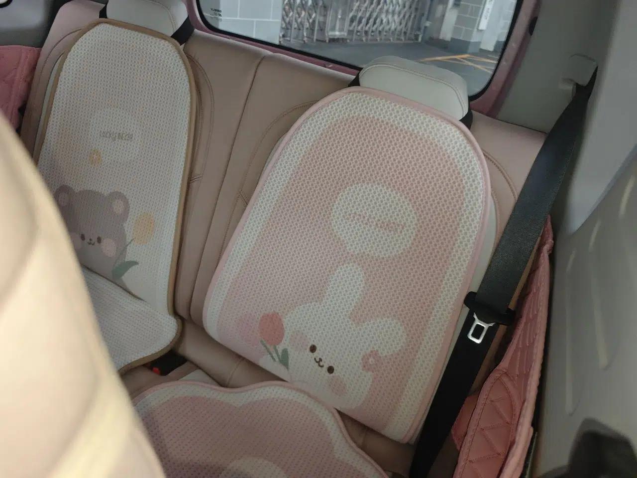 Geely Galaxy Panda 2023 Panda Mini 200km Endurance Bear — миниатюра 17