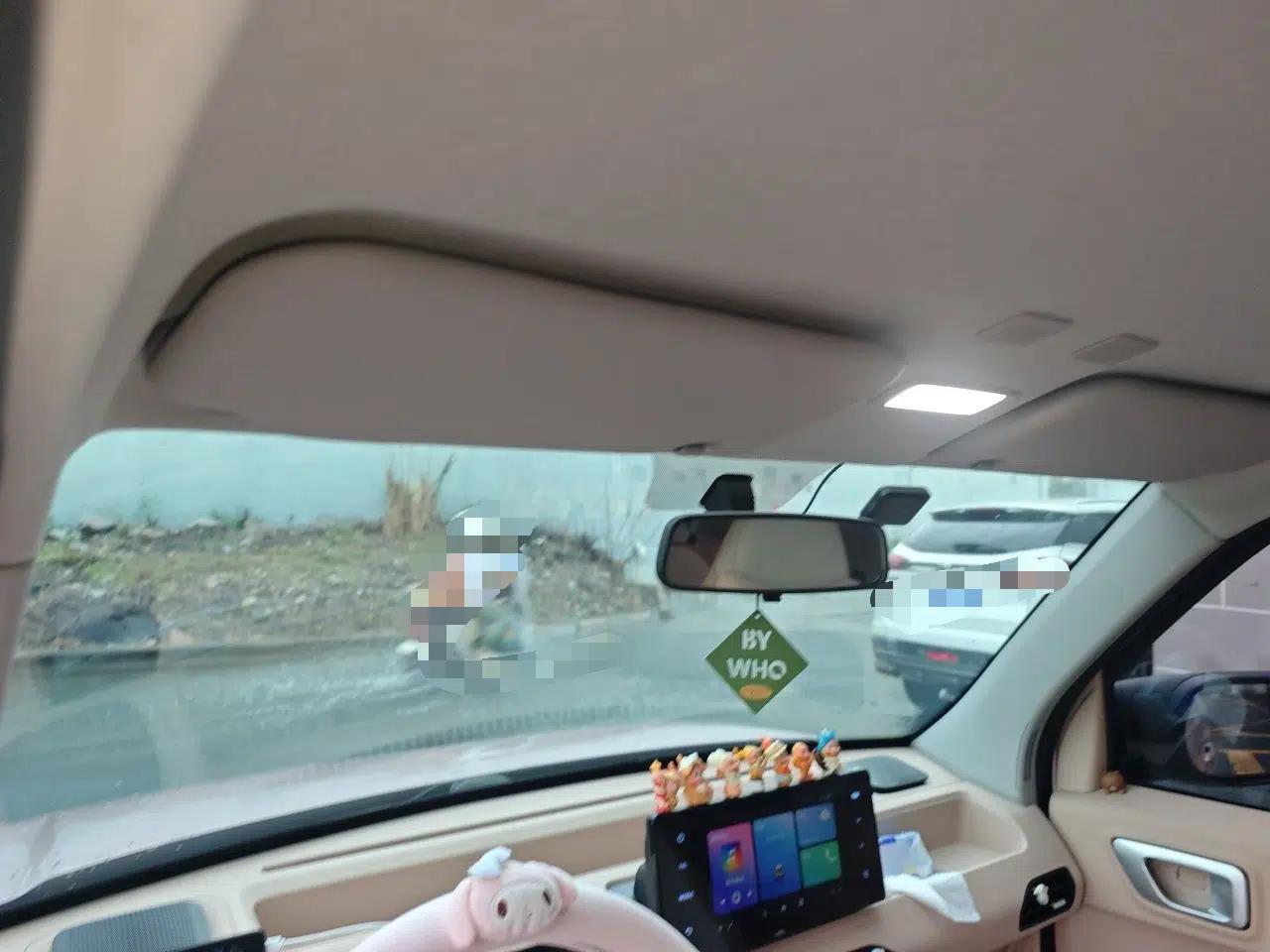 Geely Galaxy Panda 2023 Panda Mini 200km Endurance Bear — миниатюра 18
