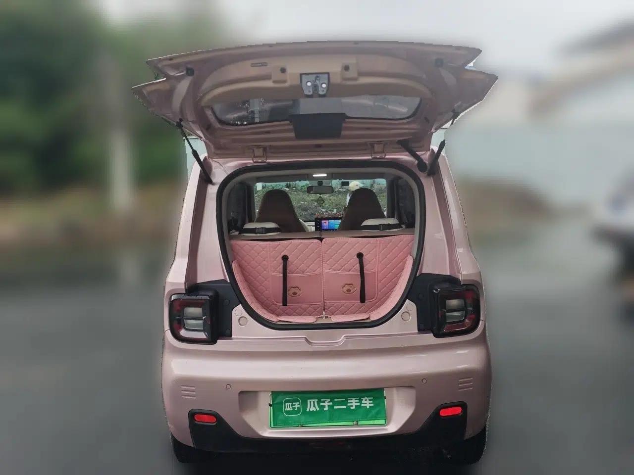 Geely Galaxy Panda 2023 Panda Mini 200km Endurance Bear — миниатюра 19