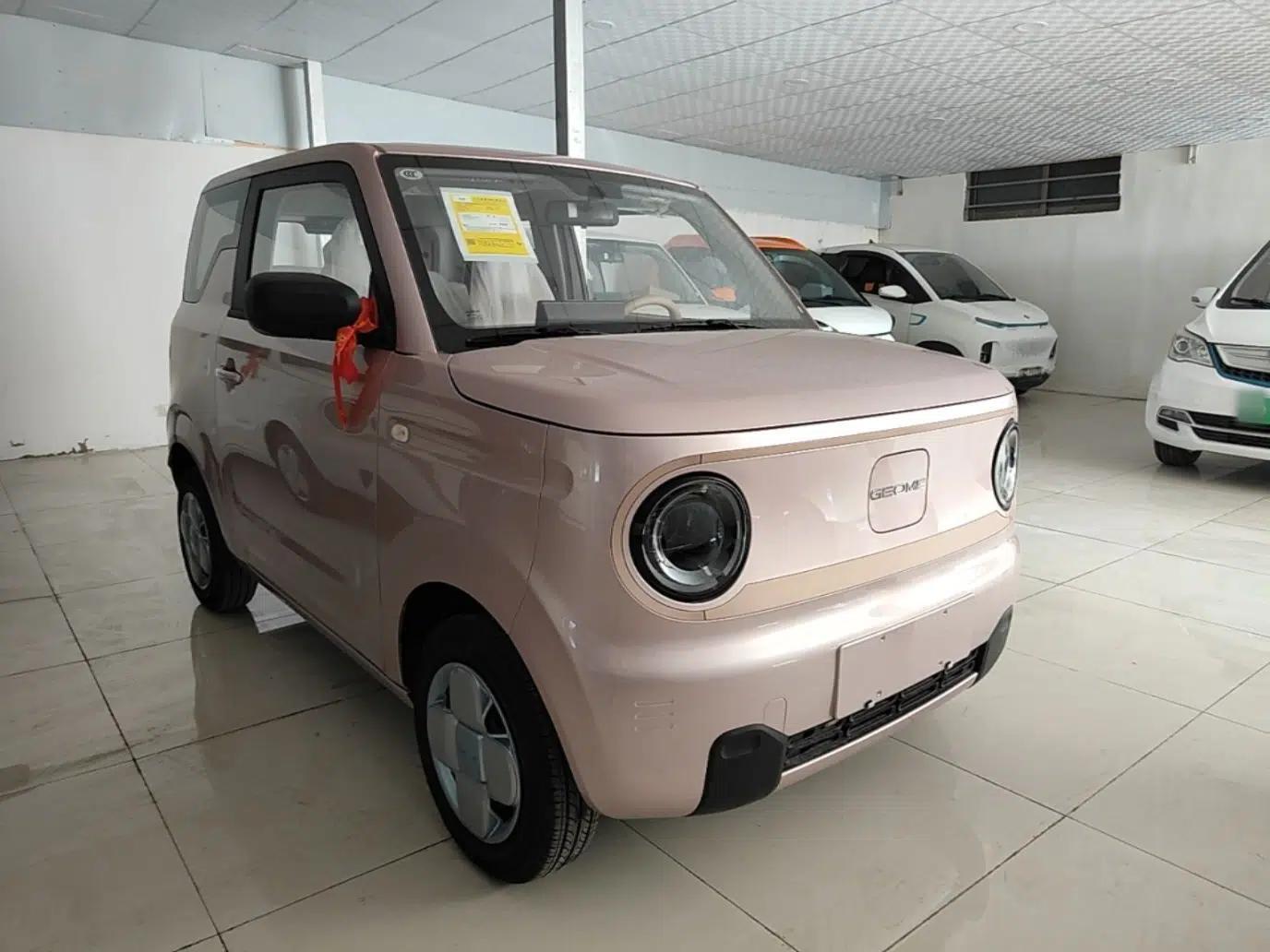 Geely Galaxy Panda 2024 Panda Mini 200km Endurance Bear — миниатюра 3