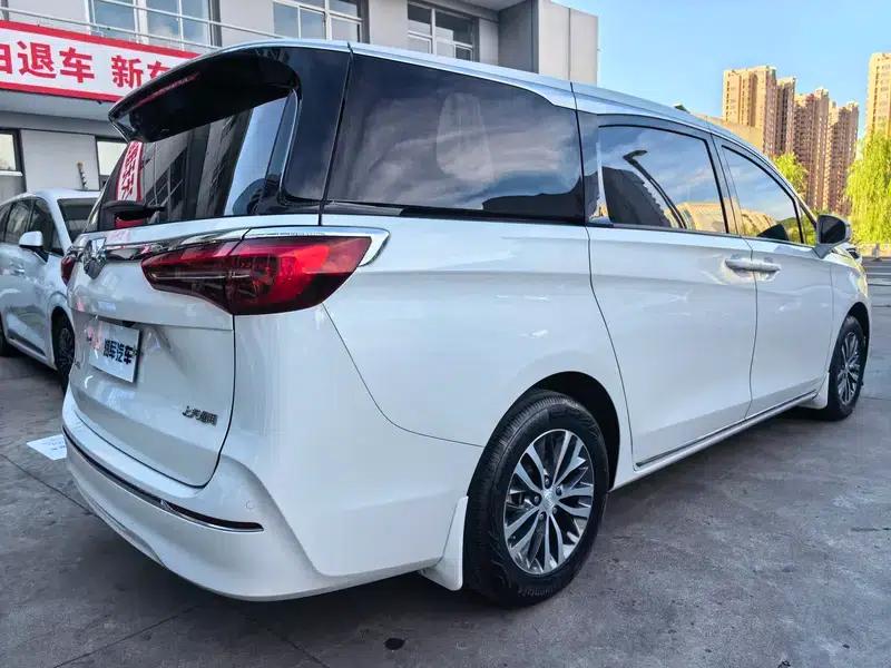 Buick GL8 2023 ES Avantgarde 2.0T Comfort — миниатюра 6