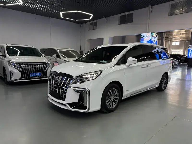 Buick GL8 2020 ES Avantgarde 653T Premium Edition — миниатюра 1