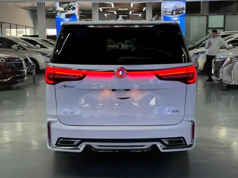 Buick GL8 2020 ES Avantgarde 653T Premium Edition — миниатюра 5