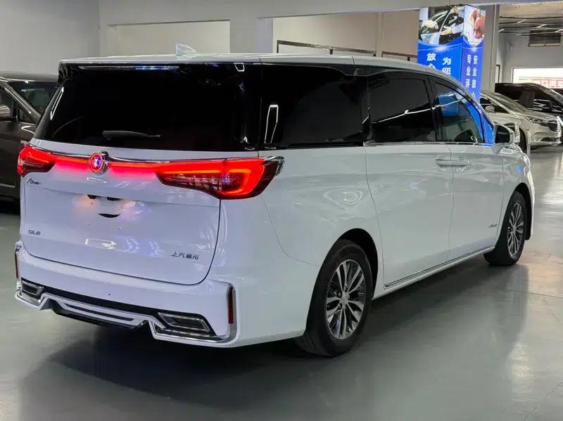 Buick GL8 2020 ES Avantgarde 653T Premium Edition — миниатюра 6
