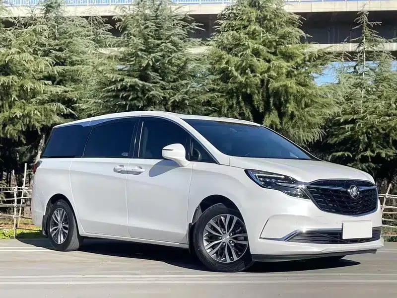 Buick GL8 2021 ES Avantgarde 653T Premium Edition — миниатюра 3