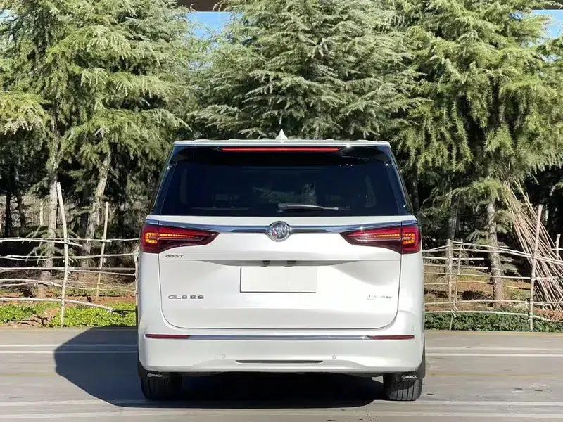 Buick GL8 2021 ES Avantgarde 653T Premium Edition — миниатюра 5