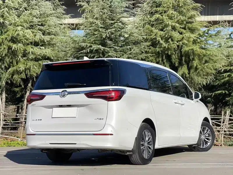 Buick GL8 2021 ES Avantgarde 653T Premium Edition — миниатюра 6