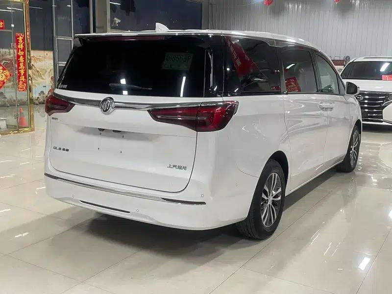 Buick GL8 2021 ES Avantgarde 653T Premium Edition — миниатюра 6