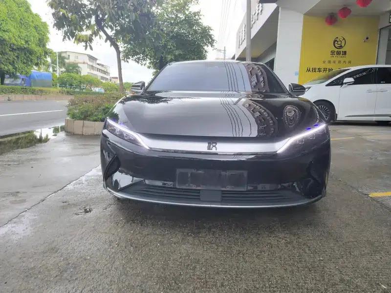 Han EV 2021 Standard Range Luxury Edition — миниатюра 2