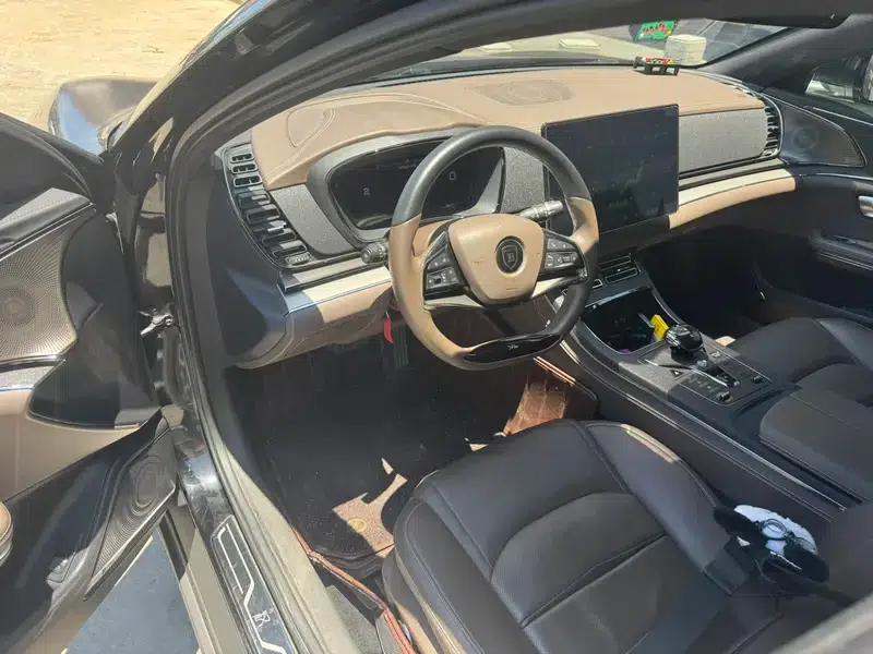 Han EV 2021 Standard Range Luxury Edition — миниатюра 7