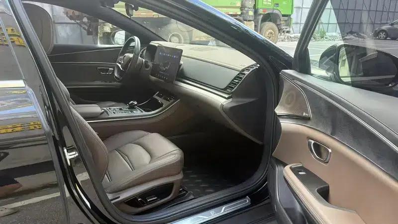 Han EV 2021 Standard Range Luxury Edition — миниатюра 9