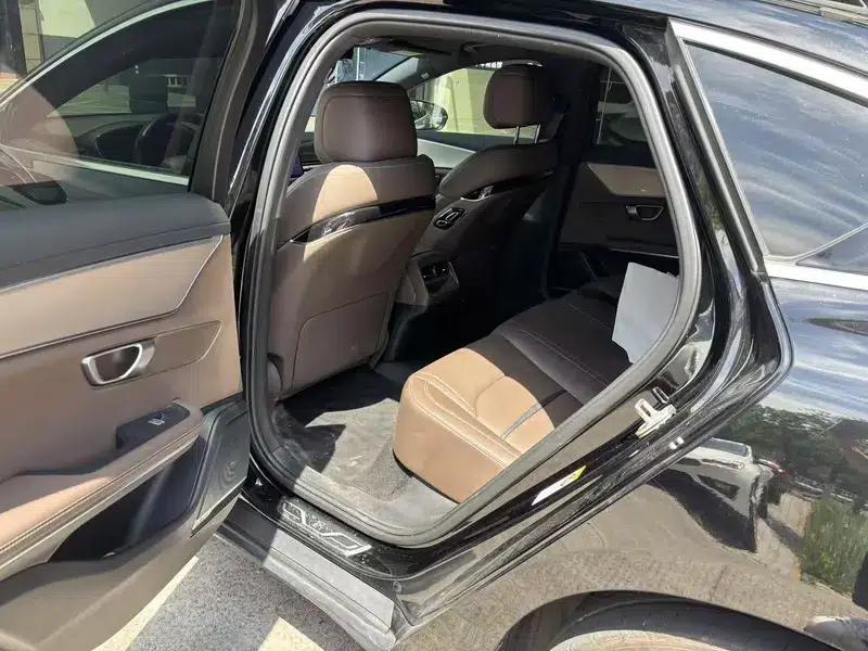 Han EV 2021 Standard Range Luxury Edition — миниатюра 9