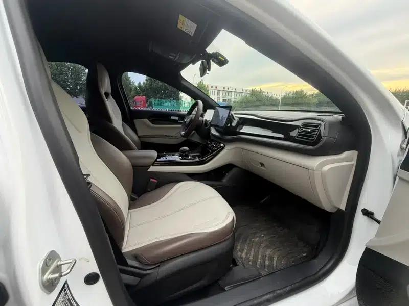 Qin PLUS DM 2024 Glory Edition DM-i 55KM Leading Model — миниатюра 7