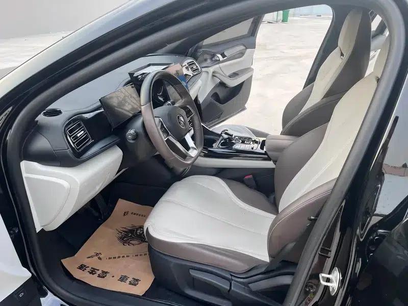 Qin PLUS DM 2023 DM-i Champion Edition 55KM Leading Model — миниатюра 14