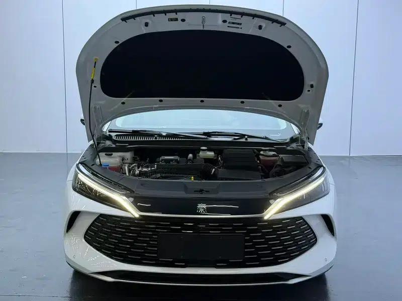 Qin L DM 2024 DM-i 120KM Excellent Edition — миниатюра 9
