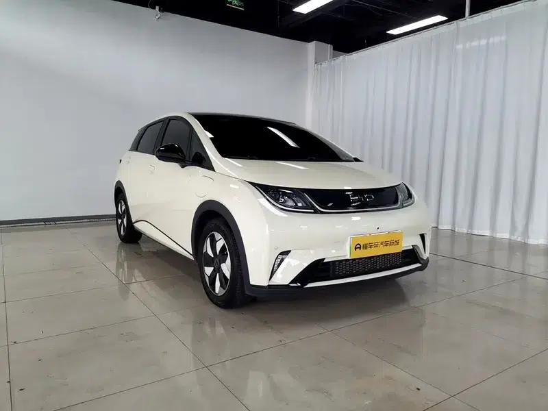 Dolphin 2024 Glory Edition 420km Fashion Edition — миниатюра 3