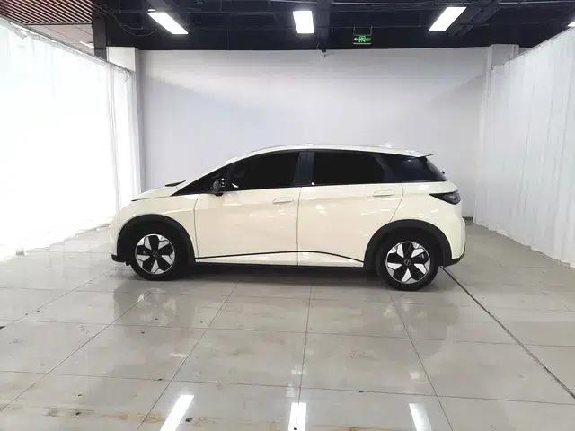 Dolphin 2024 Glory Edition 420km Fashion Edition — миниатюра 4