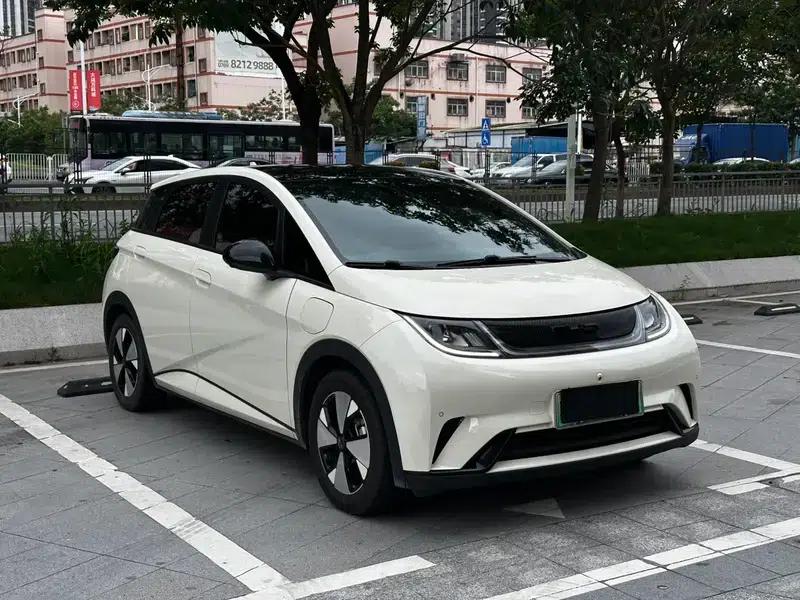 Dolphin 2024 Glory Edition 420km Freedom Edition — миниатюра 3