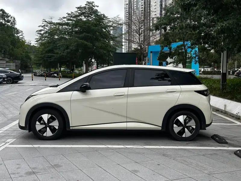 Dolphin 2024 Glory Edition 420km Freedom Edition — миниатюра 4