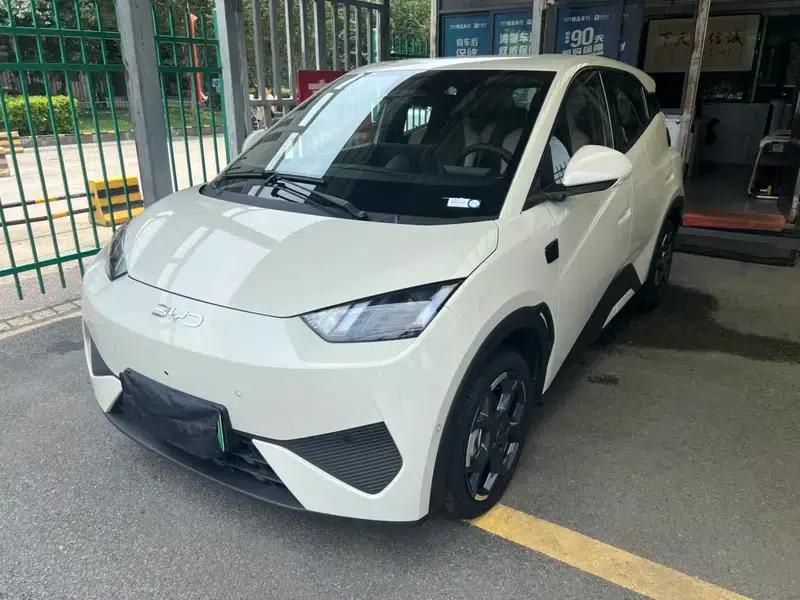 Seagull 2025 Smart Driving Edition 305KM Freedom Edition — миниатюра 1