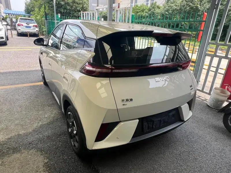 Seagull 2025 Smart Driving Edition 305KM Freedom Edition — миниатюра 4