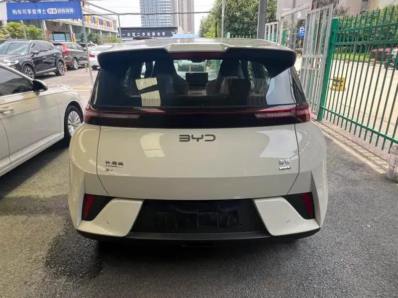 Seagull 2025 Smart Driving Edition 305KM Freedom Edition — миниатюра 5
