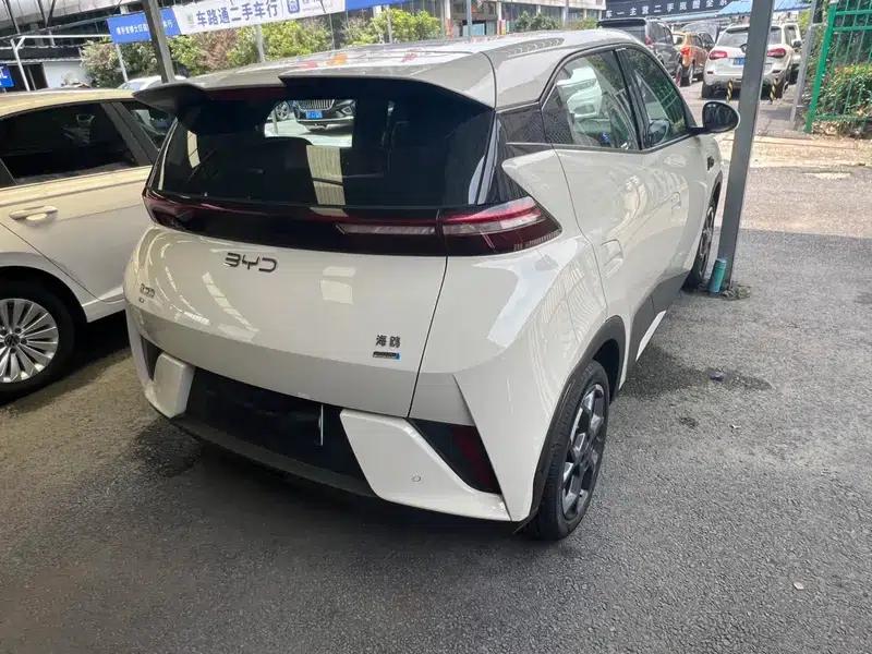 Seagull 2025 Smart Driving Edition 305KM Freedom Edition — миниатюра 6