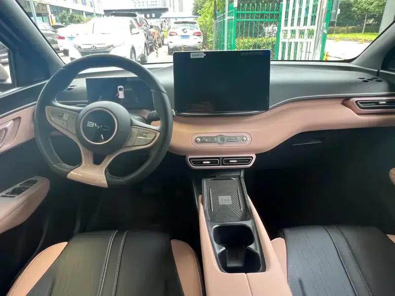 Seagull 2025 Smart Driving Edition 305KM Freedom Edition — миниатюра 7