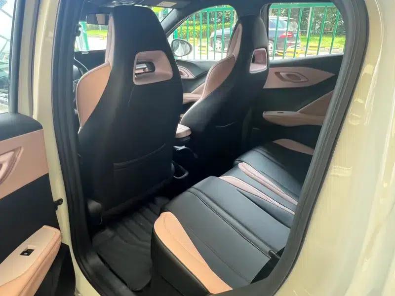 Seagull 2025 Smart Driving Edition 305KM Freedom Edition — миниатюра 9