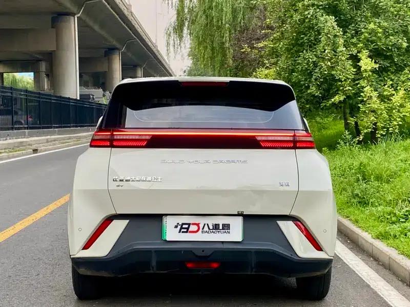 Seagull 2024 Glory Edition 305KM Vitality Edition — миниатюра 3