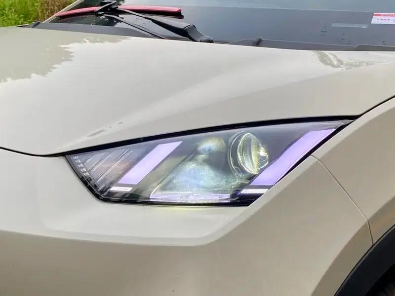Seagull 2024 Glory Edition 305KM Vitality Edition — миниатюра 5