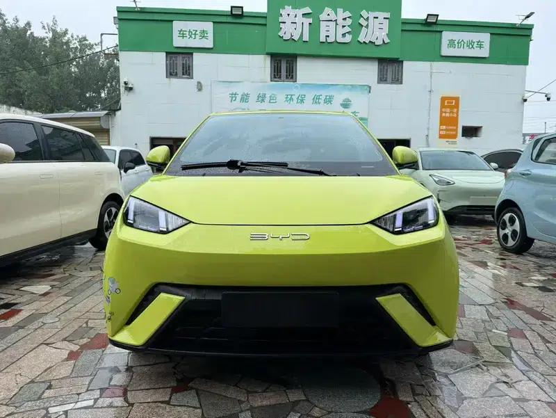 Seagull 2023 Vitality Edition — миниатюра 2