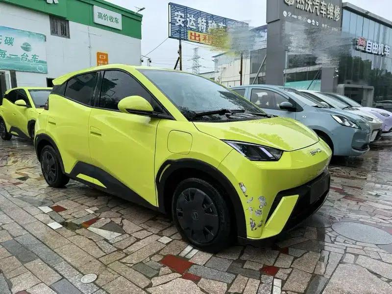 Seagull 2023 Vitality Edition — миниатюра 3